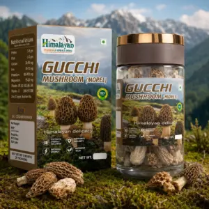 Gucchi Mushroom